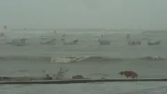 હવામાન