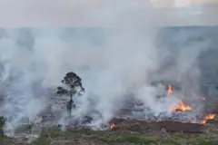 Gozdni in kopenski požari v Nagan Raya, Aceh