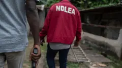 NDLEA