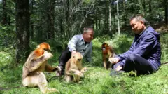 Stephen e o professor Yang sentados na floresta, cercados por macacos e árvores