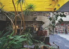 Biblioteca interior con estanterías llenas de libros, plantas tropicales, escalinata de hormigón y techo amarillo iluminado.