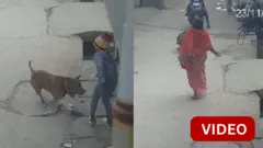 நாய்க்கடி