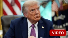 அமெரிக்கா 