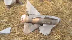 ਜਲੰਧਰ ਦੇ ਪਿੰਡ ਈਸਰਵਾਲ ਵਿੱਚ ਮਿਲੀ ਚੀਜ਼ ਦੀ ਤਸਵੀਰ