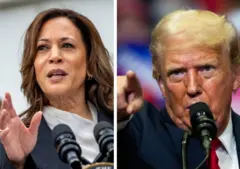 কমালা হ্যারিস যদি দলের তরফে মনোনয়ন পান তাহলে প্রেসিডেন্ট পদের জন্য তার লড়াই হবে প্রধান প্রতিদ্বন্দ্বী ডোনাল্ড ট্রাম্পের সঙ্গে।