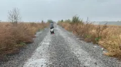 КПП