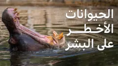 أخطر الكائنات الحية على الأرض... الأول ربما سيصدمك
