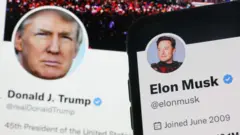 Contas do Twittercomo abrir uma casa de apostasTrump e Elon Musk