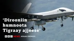 Diroonii
