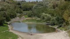 Жена у Немачкој шета на месту где је протицао Дунав