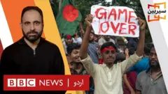 سیربین