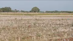 காவிரி டெல்டா விவசாயம், மேட்டூர் அணை 