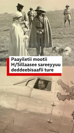 Waa'ee balaliisaa Mootii Haayilasillaasee