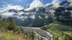 Alpes suizos