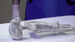 علماء يفحصون جثث كائنات المكسيك بحثا عن الحقيقة