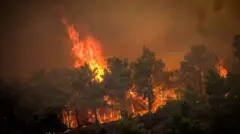 রোডসের আগুনের দৃশ্য