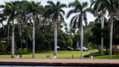 سگ ربات در حال گشتزنی در اقامتگاه دونالد ترامپ