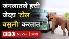 श्रीलंका हत्ती