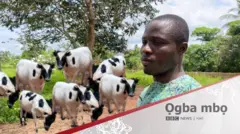 Onye na-akpa ehi Igbo