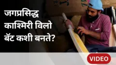 काश्मीरला जागतिक ओळख देणाऱ्या विलो बॅट व्यवसायासमोर आहेत 'ही' आव्हानं
