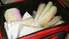 Leite materno encomendado online por Jameson Ritenour. O leite está em sachês plásticos e em uma bolsa térmica vermelha.