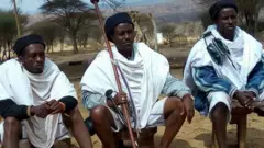 Abbootii Gadaa Boranaa