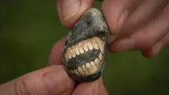 புனிதத் தீவு, புதைபடிவம், நார்தம்பர்லேண்ட்