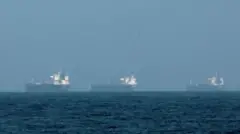 হরমুজ প্রণালীল কাছে ইরানি জাহাজ ধ্বংসের দাবি করছে যুক্তরাষ্ট্র ( এগুলো সেসব জাহাজের ছবি নয়। এই ছবিতে ফুজাইরাহ এলাকায় রাখা কিছু ট্যাঙ্কার দেখা যাচ্ছে)