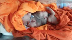ውህብቶን ህጻንን ኣብ መዓልቲ ጥምቀተን