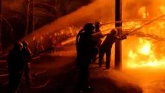 Пожежні гасять пожежу