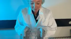 Científica trabajando en el laboratorio