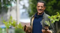 መንግስቲ ኣብ 2019 ኣብ ሓደ መዓልቲ ልዕሊ 350 ሚልዮን ፈልሲ ከምዝተኸለ ይገልጽ