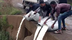 Namoota aannan bowwaatti dhangalaasaa jiran