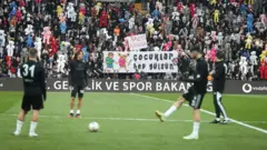 ayılar