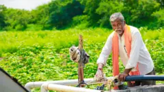 प्रातिनिधिक फोटो