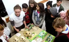 Um ambientalista do Projeto Onças do Iguaçu ensina crianças sobre esses felinos.