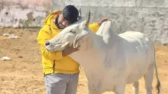 মনু মানেসার বলছেন হিন্দু ধর্ম ও গরুকে রক্ষা জন্য তিনি কাজ করছেন