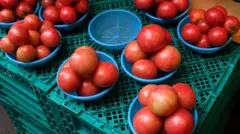 Aworan Tomato ninu ọja