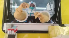a worker working with Covid sample