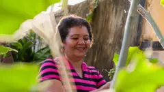 Parteira Mãe Naninha colhendo frutas de uma árvore
