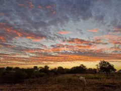 ગુજરાત હવામાન, શિયાળો, બીબીસી ગુજરાતી