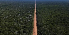 Imagem mostra leito de rodovia BR-319 cortando uma área de floresta preservada