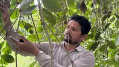 பழங்கள் பயிரிட்டு பணக்காரர்கள் ஆன கிராம மக்கள்