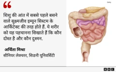 सूक्ष्मजीवी