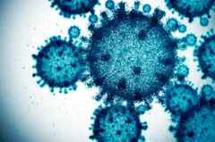 Imagem azul de computador de um vírus visto através de um microscópio.