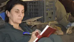 صالحه آق‌بیگ  را رسانه‌های دولتی ایران و ترکیه مسئول شاخه ایران حزب کارگران کردستان (پ ک ک) معرفی کرده‌اند