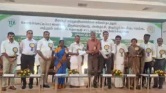 திருப்பூர் பின்னலாடை ஏற்றுமதி, ஆயத்த ஆடை, தொழில்துறை, ஜவுளித்தொழில்