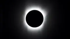 In a total solar eclipse, the Sun is completely covered by the Moon and only a white halo can be seen around the black disc