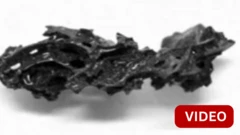 கண்ணாடியாக மாறிய மனித மூளை - என்ன காரணம்?