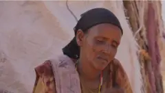 Hayyoo boranaa hongeen miidhaman keessaa